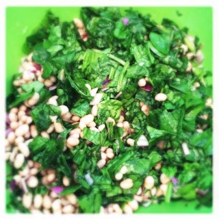 white bean spinach salad